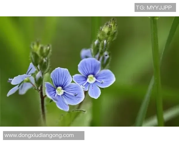 足球巨星豪掷千金与节俭本色背后的人生智慧对比解读